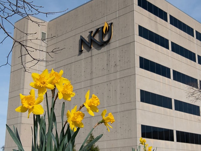 Yellow flowers on NKU's campus. 